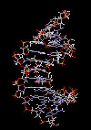 genetik molokoli 1.jpg - 9.48 KB